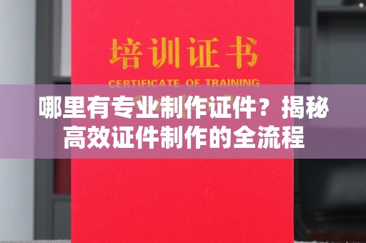 南澳哪里有专业制作证件？揭秘高效证件制作的全流程